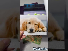 에프슨 / 캐논 / HP 와이드 포맷 프린터용 프리미엄 럭스터 사진 종이 롤