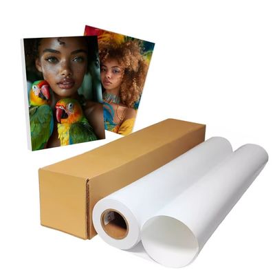 피그먼트 잉크젯 RC 240gsm 초록색 코팅으로 된 사진 종이 롤